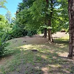 Σπίτι διακοπών Singola Con Giardino Ghisallo Zona Bellagio *